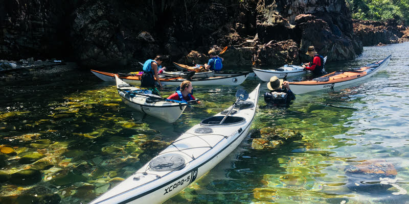 1 day sea kayaking expedition